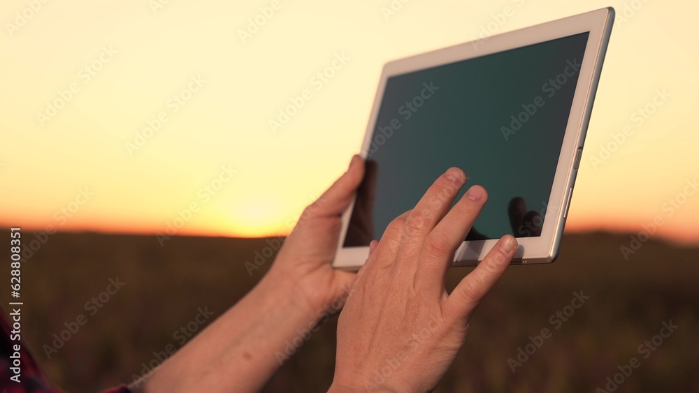 hand work tablet close-up. farmer wheat field works digital tablet. Agriculture. farming work concept. digital technologies farmer work field. harvest time. farming industry. cultivation business sale