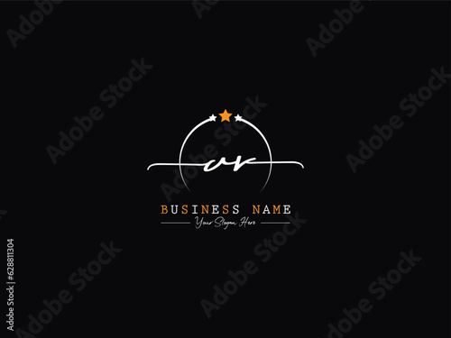 Initial Luxury Av va Logo Icon Signature Letter For You