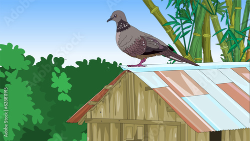 Birds rock doves  or pigeons  at a bird feeder that is built like a tiny house in a green park. One sitting on the feeder roof - Vector