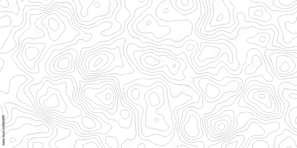 Panorama view gradient multicolor wave curve lines banner background design. Vector illustration. Black and white topography contour lines map isolated on white background.