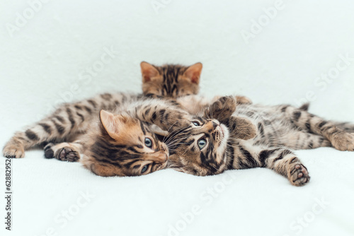 Three cute one month old kittens on a furry white blanket.
