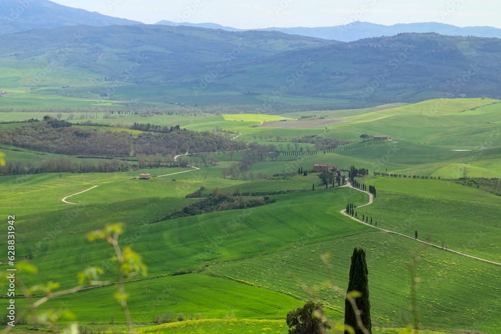 Italy , Tuscany , Val D'Orcia, 25 April 2023: Stunning view of green fields. Summer rural landscape of hills and cypresses.