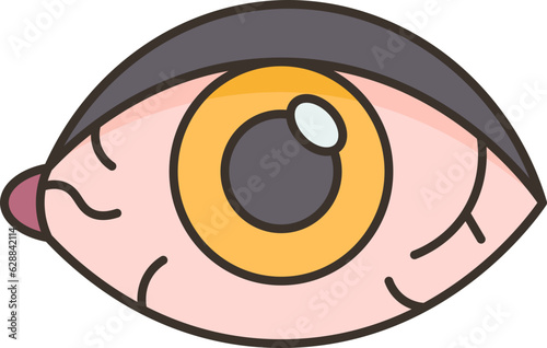 eye  icon