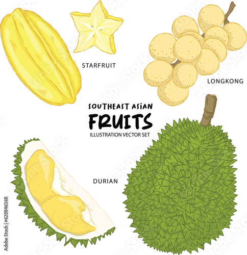 Southeast asian fruit illustration starfruit,longkong and durian vector set