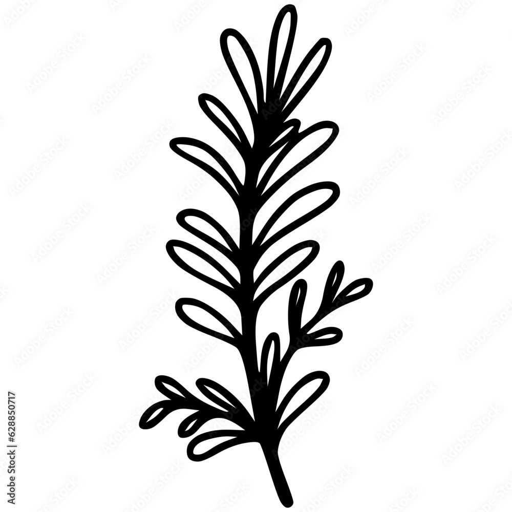 Fototapeta premium Hand drawn rosemary branch doodle