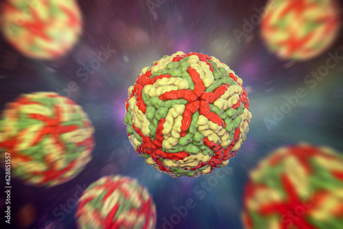 Dengue viruses, 3D illustration