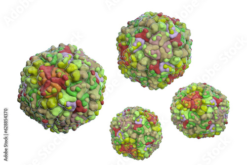 Echo viruses, 3D illustration photo