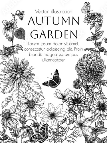 Vector frame from autumn garden. Dahlia, cosmos, zinnia and butterflies in engraving style