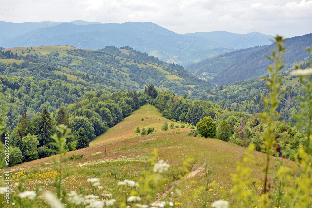 Fototapeta premium mountain landscape, Сarpathians. Beautiful view of the forest, mountains, sky