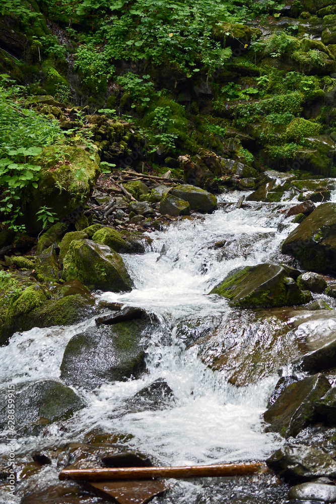Obraz premium Waterfall in the forest. Carpathians.