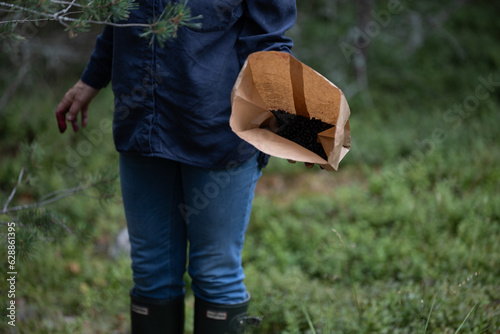 Enkoping, Sweden A paper bag filled with freshly-picked blueberries from the lush forest in the summer after the rain. photo