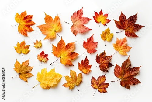 Autumn leaves on a white background. Generative AI