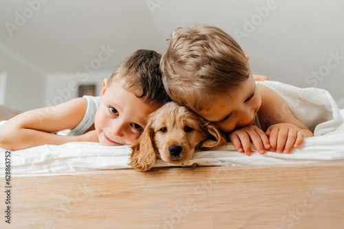 Cute little boys having fun with pet Cocker Spaniel puppy dog, lying prone on wtite bed at home under blanket, smiling and playing