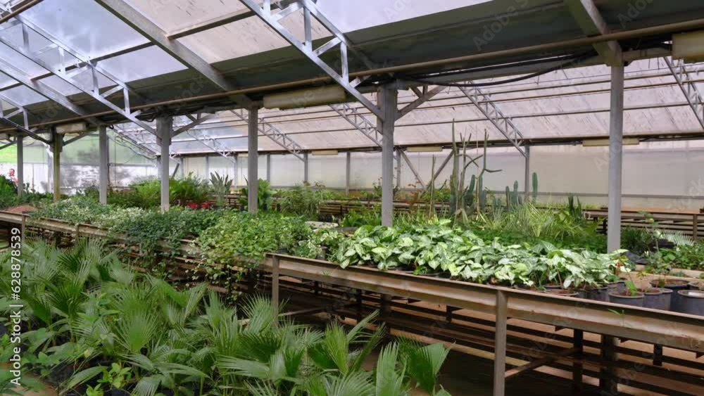 Greenhouse arranged as working greenhouse greenhouse room for growing orchids and other exotic plants for botanical garden. There are various plant pots and other garden tools. Greenhouse arranged as working greenhouse greenhouse room for growing orchids and other exotic plants for botanical garden. There are various plant pots and other garden tools.
