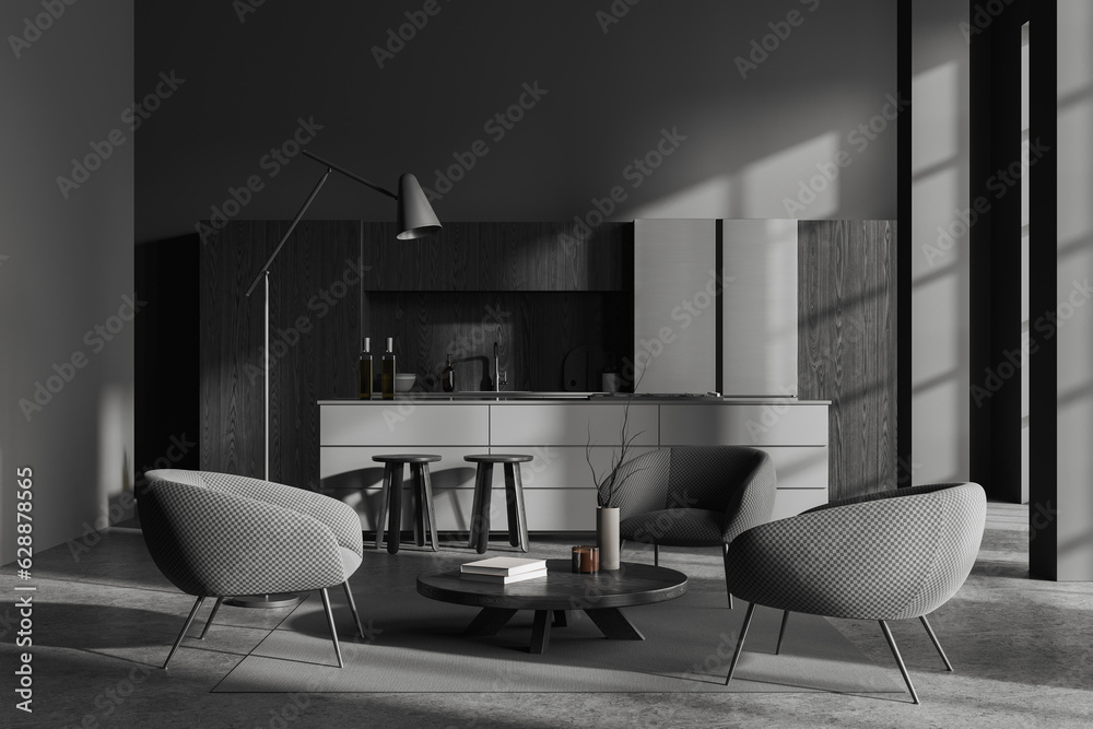 Loft gray kitchen and living room interior Loft gray kitchen and living room interior