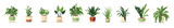 Modern house plants in different clay pots and planters. Home garden vector illustration.
