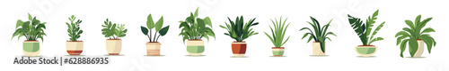 Fotografiet Modern house plants in different clay pots and planters