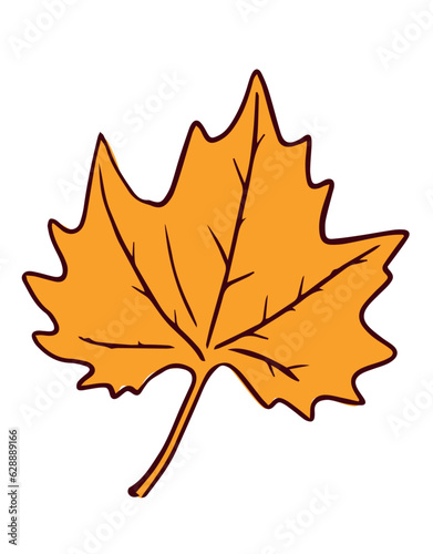 Autumn maple leaf isolated on white background. Fall orange leaf illustration. 