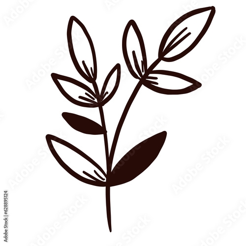 floral line art doodle element, for background, wallpaper, pattern 