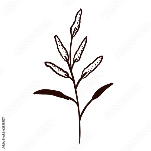 floral line art doodle element, for background, wallpaper, pattern 