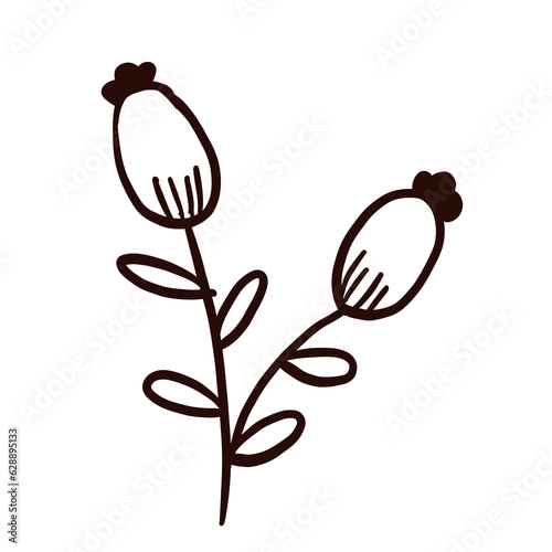 floral line art doodle element, for background, wallpaper, pattern 