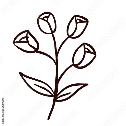 floral line art doodle element, for background, wallpaper, pattern 