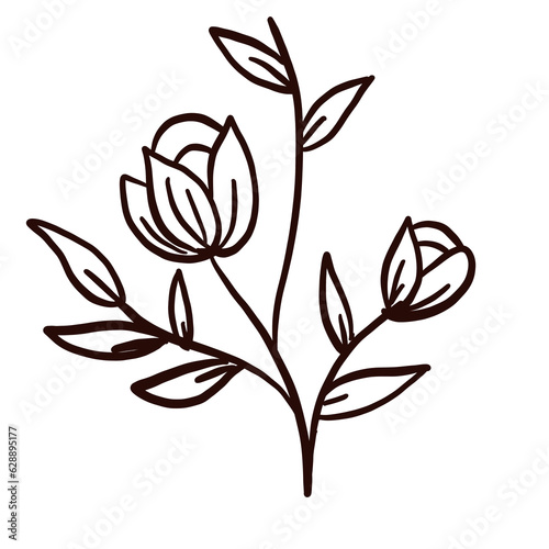 floral line art doodle element, for background, wallpaper, pattern 