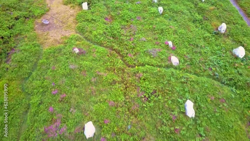 Standing stones of Carnac in Brittany