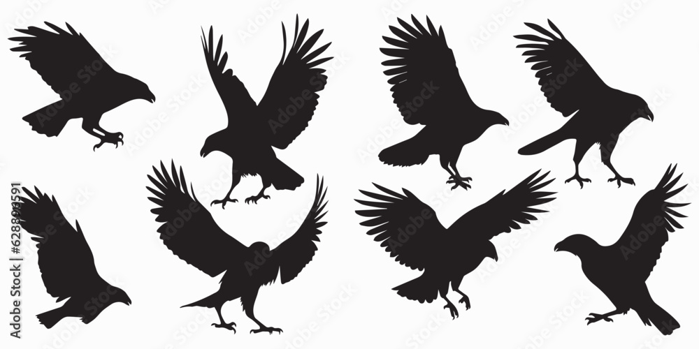 Obraz premium Set of silhouette Bird vector illustration