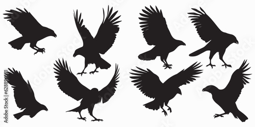 Set of silhouette Bird vector illustration