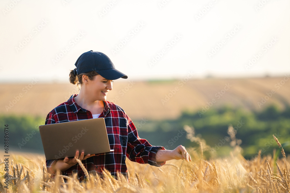 Woman farmer working with laptop on wheat field. Smart farming and digital agriculture. Woman farmer working with laptop on wheat field. Smart farming and digital agriculture.