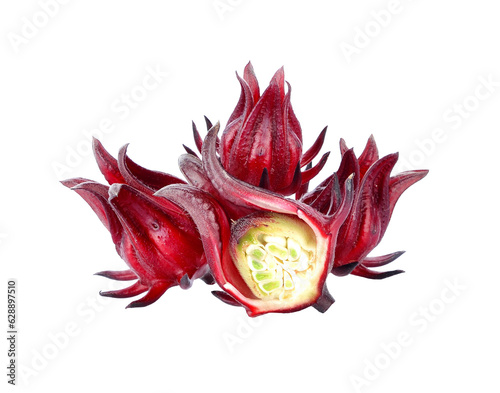 Hibiscus sabdariffa or roselle fruits transparent png photo