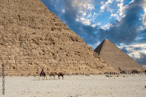 Pyramid of Khafre and camels in Giza  Egypt