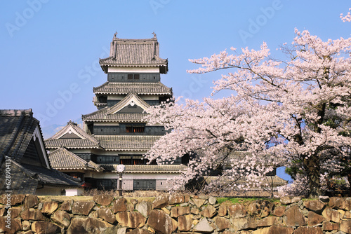 松本城と桜 photo