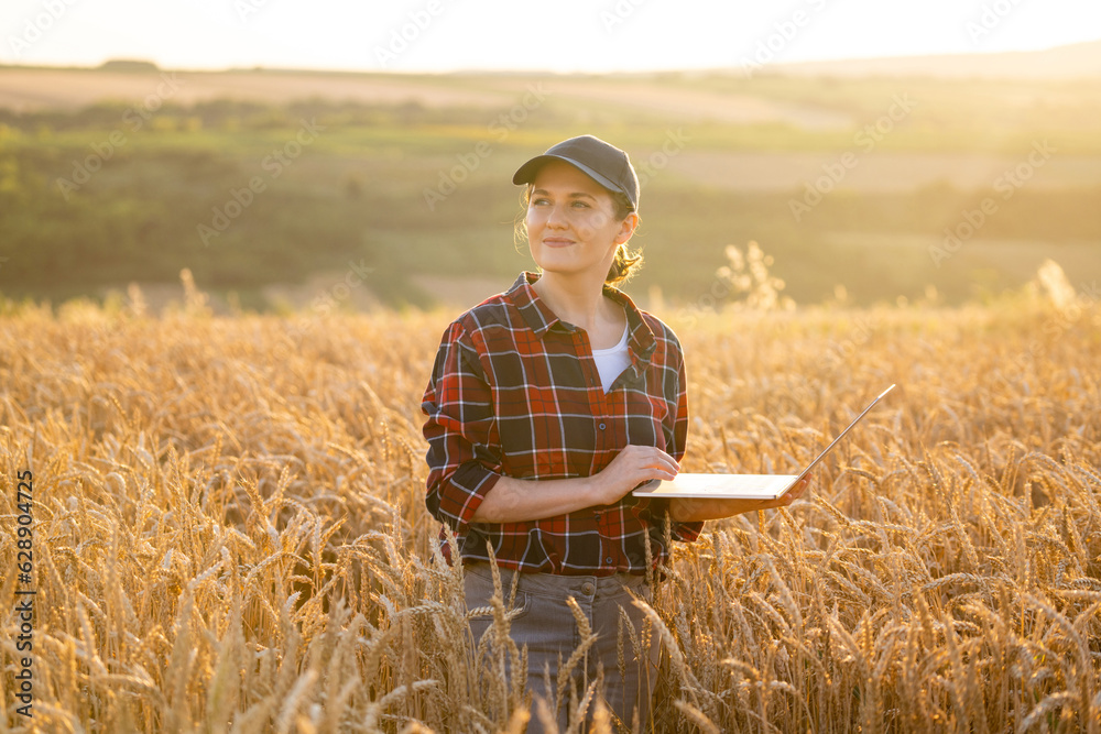 Woman farmer working with laptop on wheat field. Smart farming and digital agriculture Woman farmer working with laptop on wheat field. Smart farming and digital agriculture