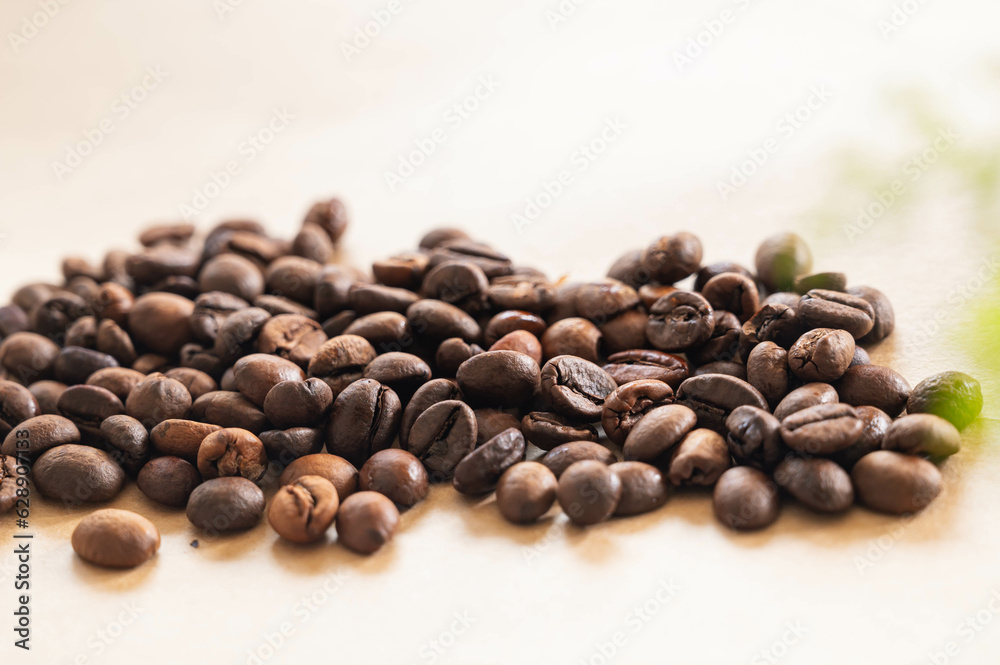 コーヒー豆 ルワンダ産ロブスタ種 コーヒー豆 ルワンダ産ロブスタ種