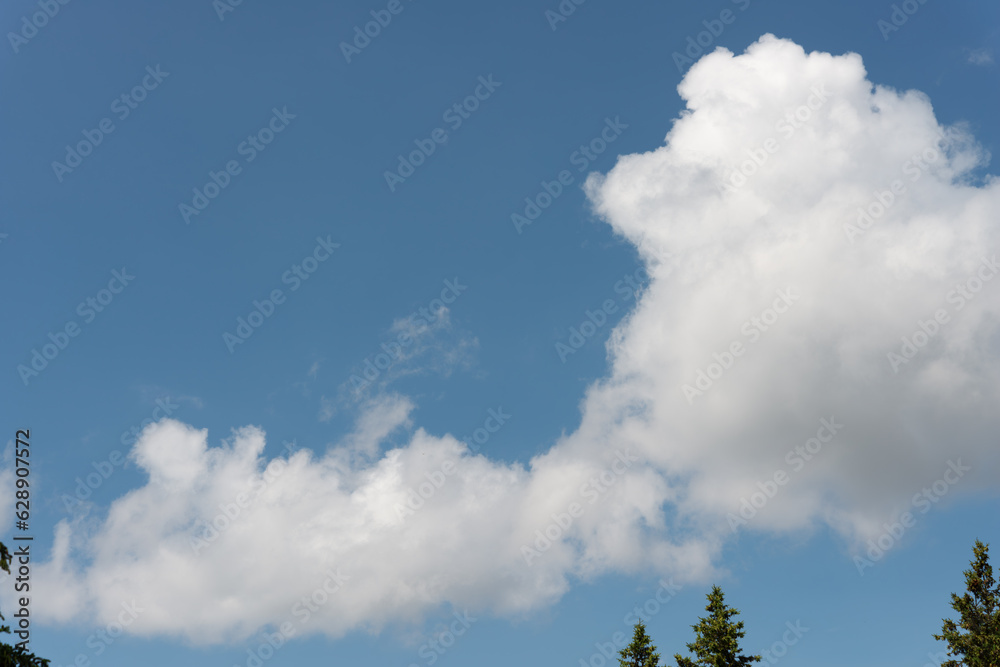 cloud frame and tree cloud frame and tree