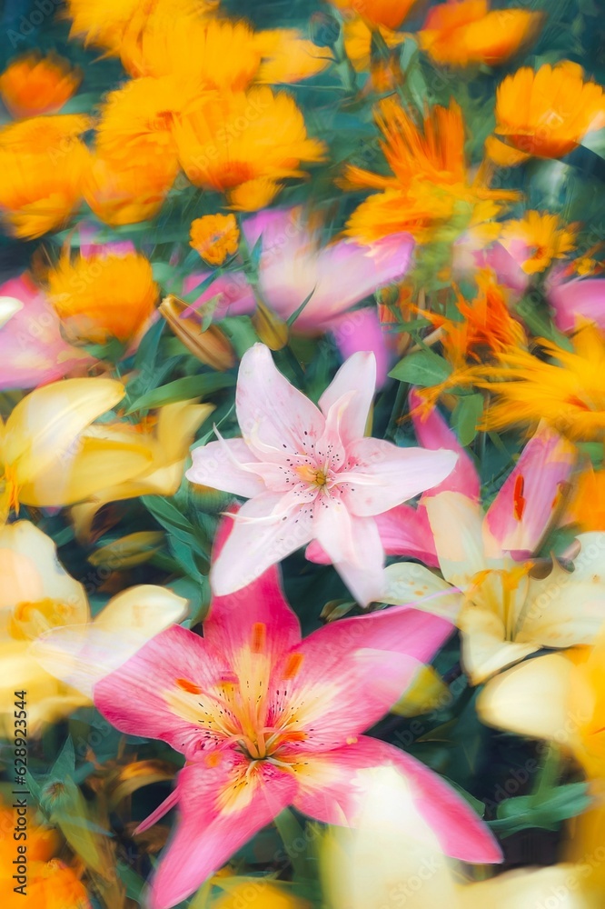Fototapeta premium flowers background