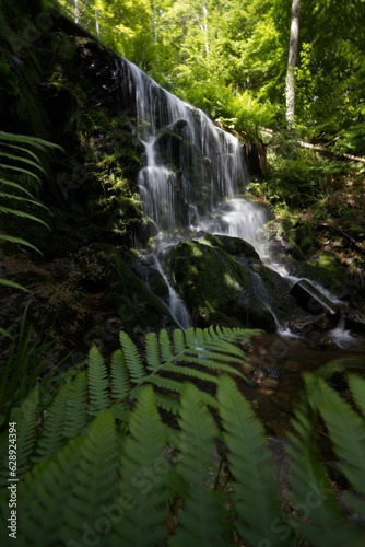 a large waterfall with many large ferns in the woods by itself
