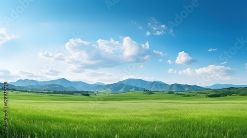 Panoramic green field landscape view. Blue mountains background and bright blue sky. 