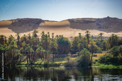 orillas de rio Nilo con en desierto a los lados Egipto photo