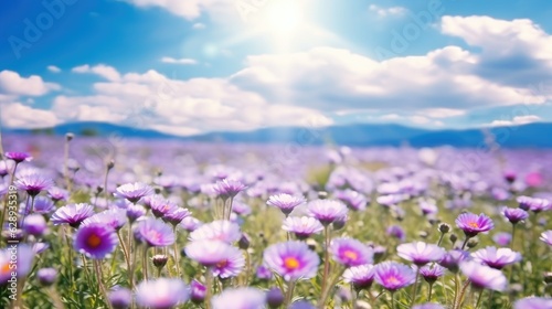 Beautiful spring summer natural with a field of purple clover flowers and chamomile against blue sky.