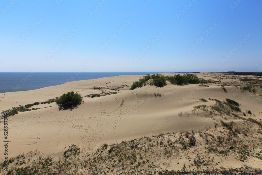Sand Dune in Curonian Spit, Russia Sand Dune in Curonian Spit, Russia