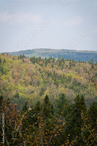 view from the mountain