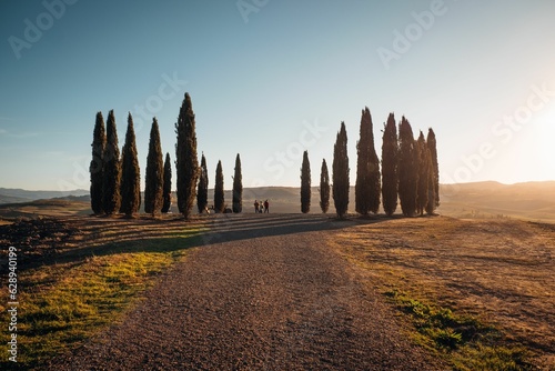 Stunning image captures the beauty of Val d orcia in Tuscany  Italy during the golden hour