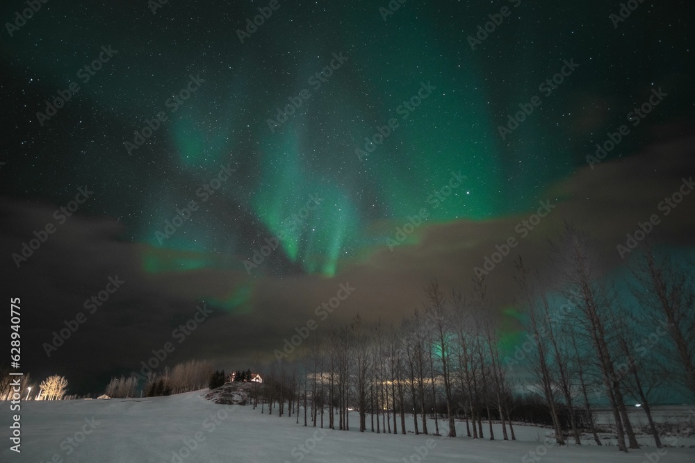 Fototapeta premium aurora borealis in the night sky above Reykjavik, Iceland, with stars twinkling in the background