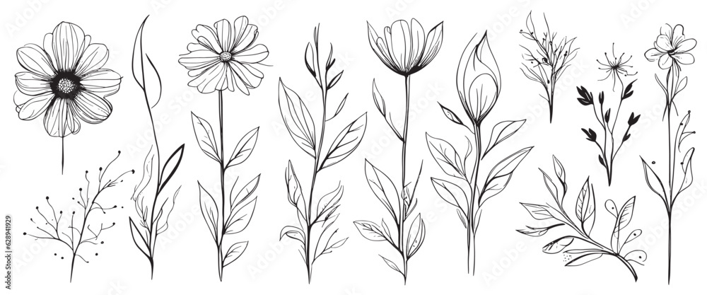 minimal botanical summer graphic sketch line art drawing, trendy tiny design, leaf elements vector illustration