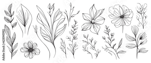 minimal botanical summer graphic sketch line art drawing, trendy tiny design, leaf elements vector illustration