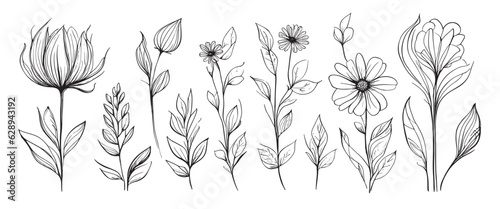 minimal botanical summer graphic sketch line art drawing, trendy tiny design, leaf elements vector illustration