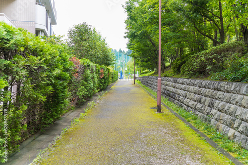多摩の片田舎の散歩道